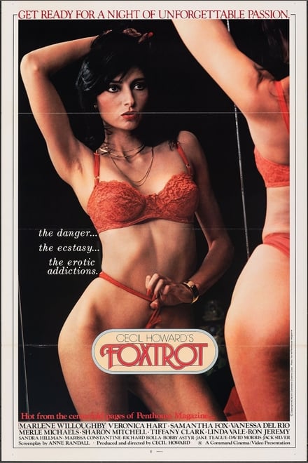 Foxtrot Fantasexblog juguetes eróticos